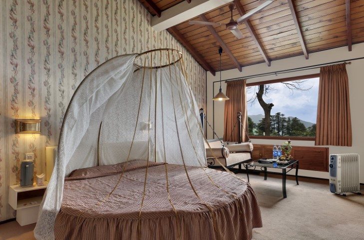 Honeymoon In Shimla - Shimla